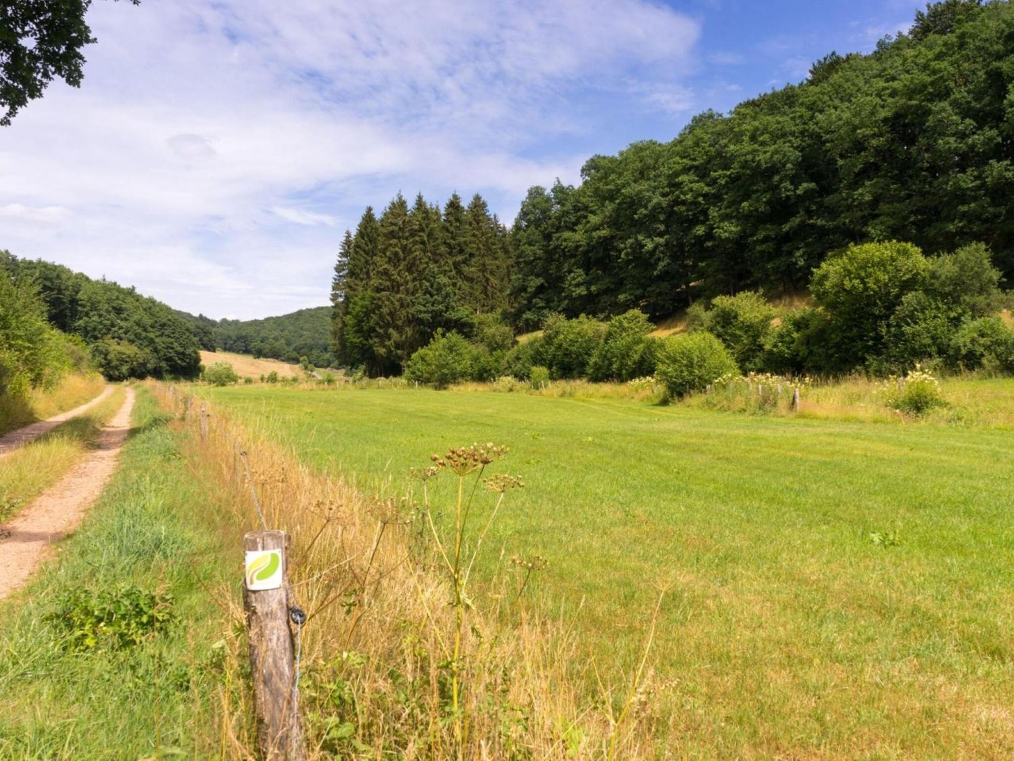 Luxurious Bungalow In Waxweiler In The Eifel Exterior foto